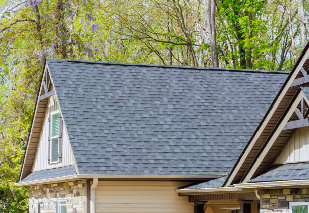 Best Solar Panel Roofing Installation  in Rosamond, CA